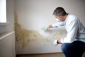 Why You Should Choose Our Mold Remediation Services in Covelo, CA